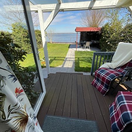 Ferienhaus Am Weidenbaum Villa Wunstorf Esterno foto