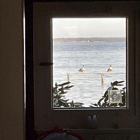 Ferienhaus Am Weidenbaum Villa Wunstorf Esterno foto