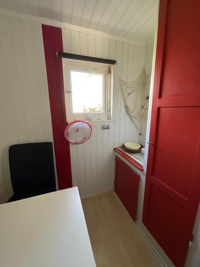 Ferienhaus Am Weidenbaum Villa Wunstorf Esterno foto